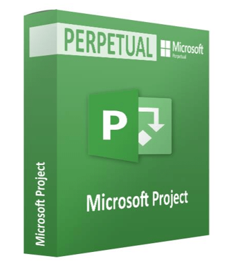Microsoft Project Server 2019 User CAL - Perpetual License